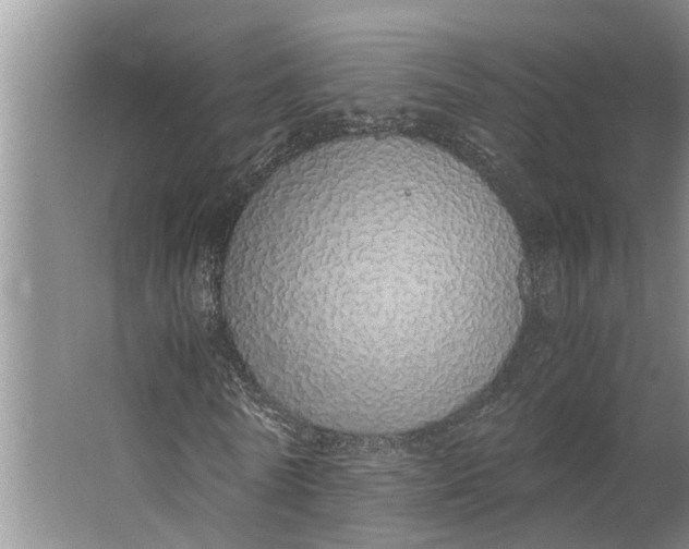 X0000062900770200601271713