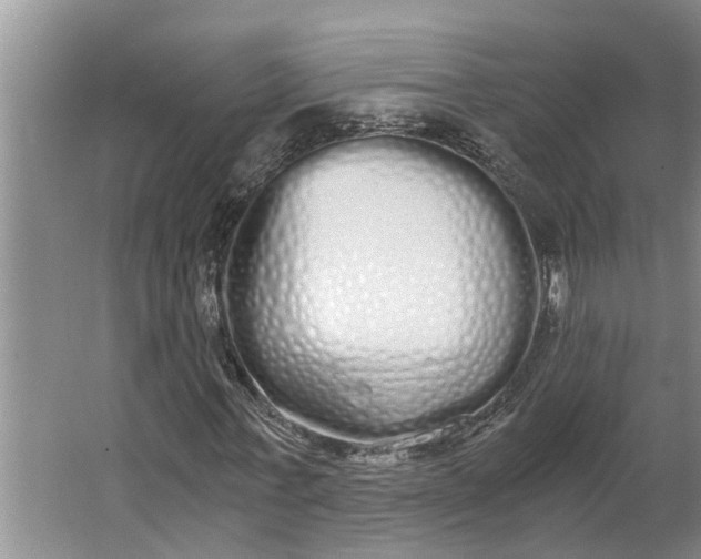 X0000062900771200601271713