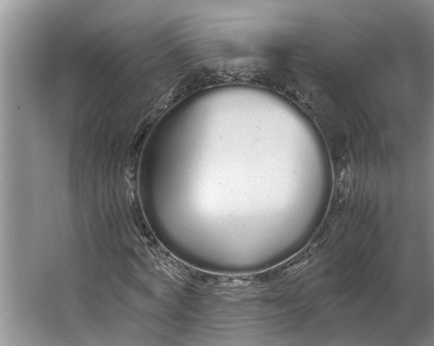 X0000062900772200601271712