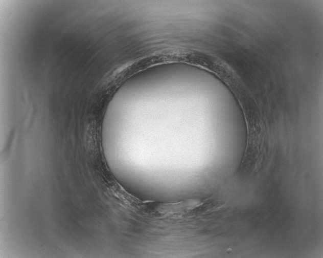 X0000062900773200601271712