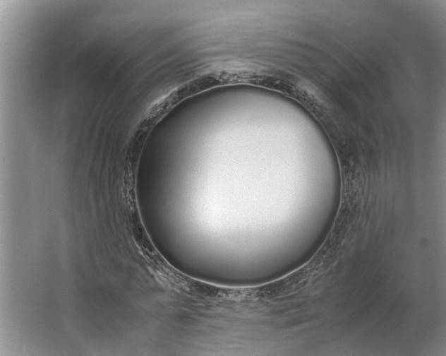 X0000062900775200601271712