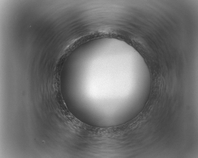 X0000062900776200601271712