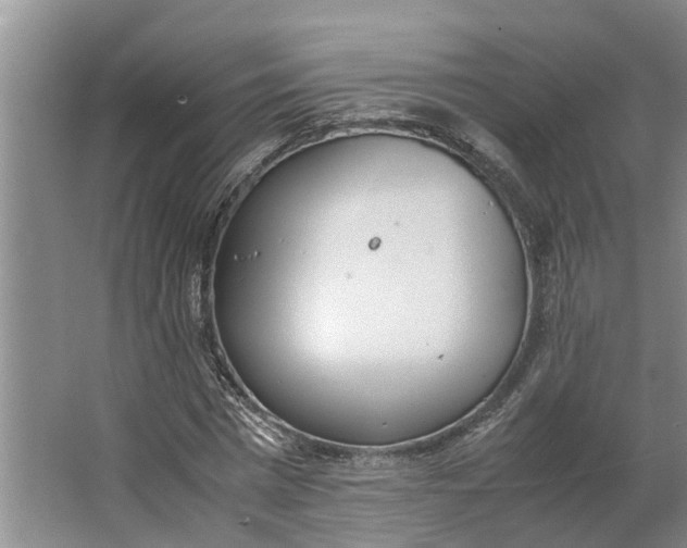 X0000062900777200601271712