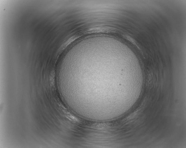 X0000062900778200601271712