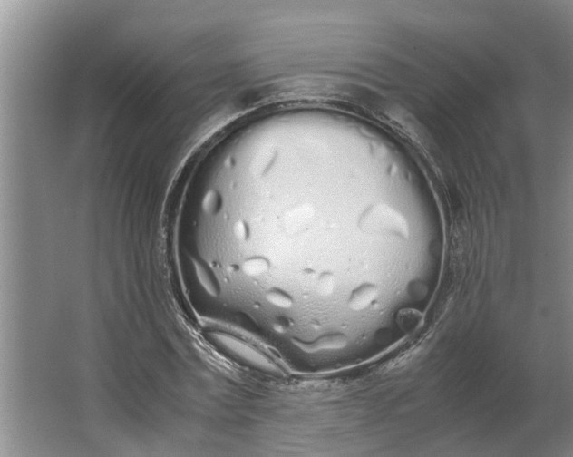 X0000062900779200601271712