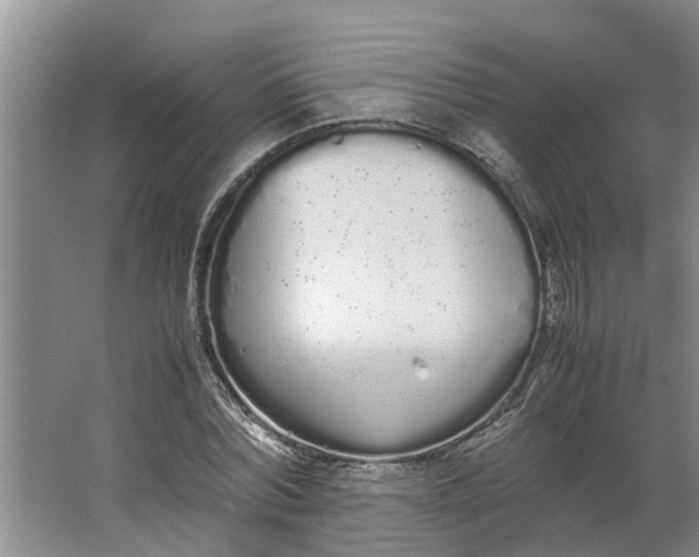 X0000062900780200601271712