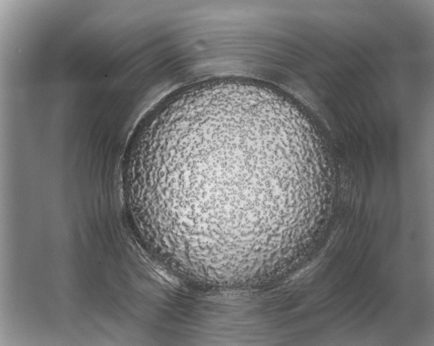 X0000062900782200601271712