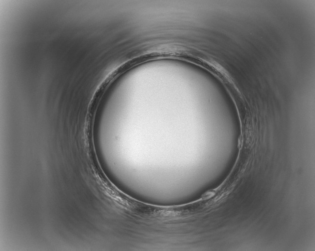 X0000062900783200601271712