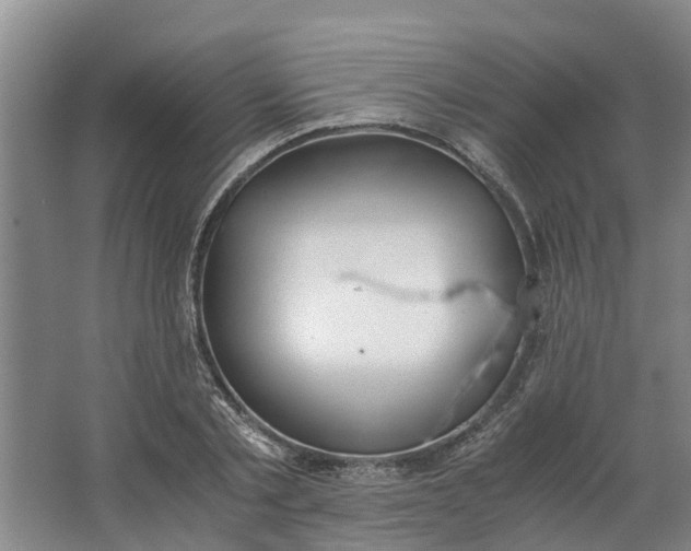 X0000062900789200601271712