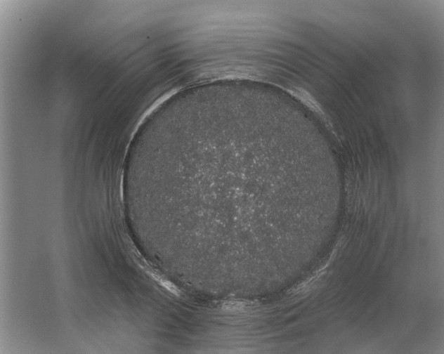 X0000062900790200601271712