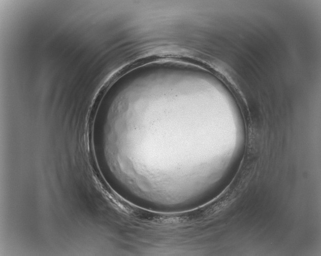 X0000062900791200601271712