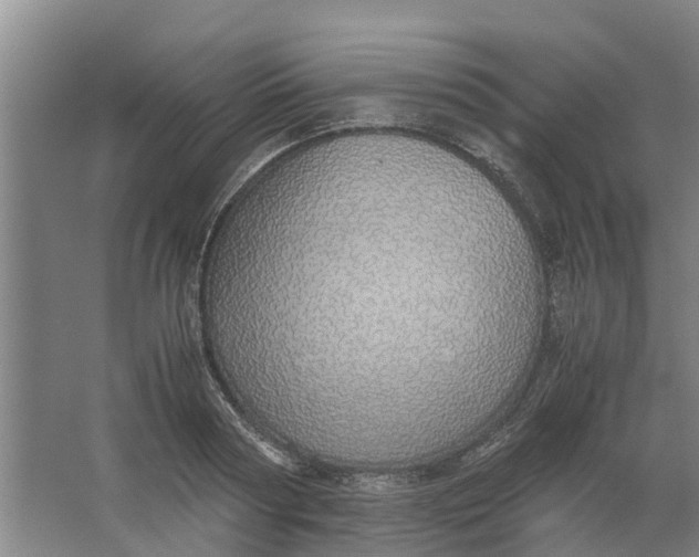 X0000062900794200601271712