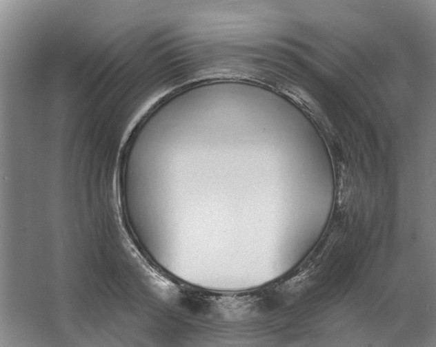 X0000062900796200601271712