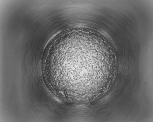 X0000062900798200601271712