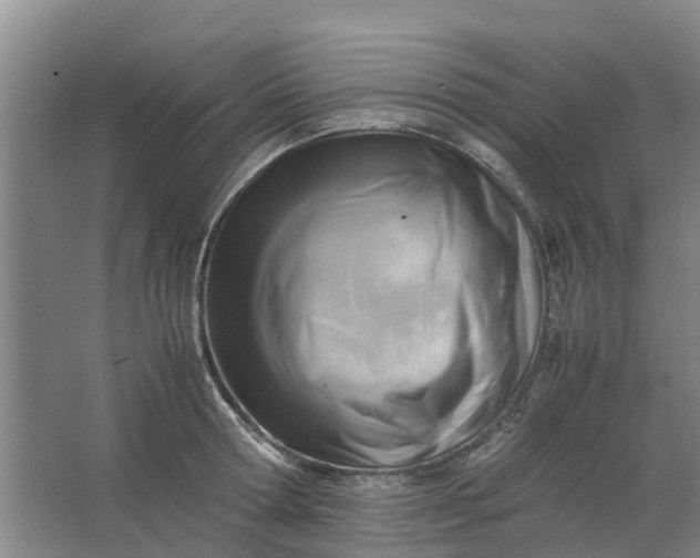 X0000062900802200601271712