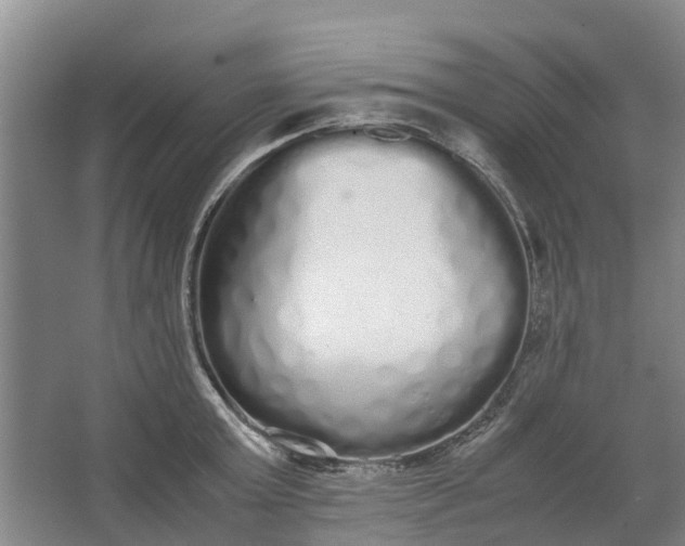 X0000062900803200601271712