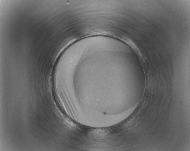 X0000062900806200601271712