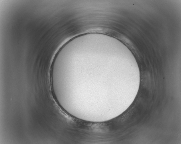 X0000062900808200601271712