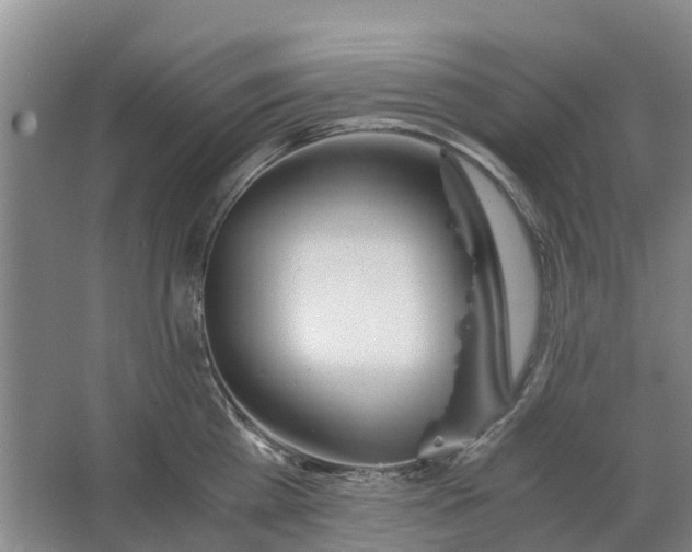 X0000062900809200601271712