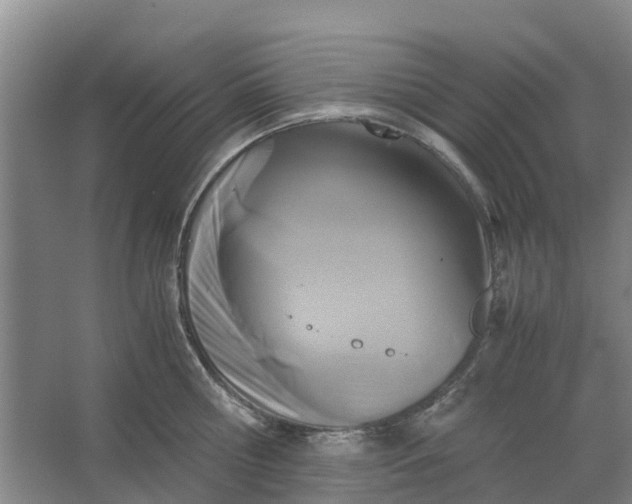 X0000062900810200601271712