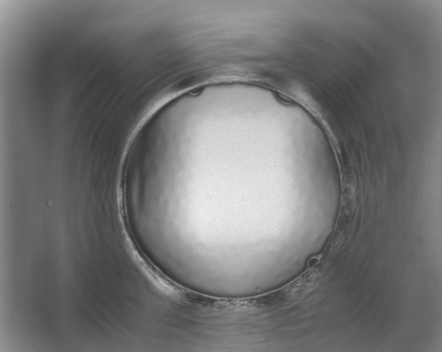 X0000062900811200601271712