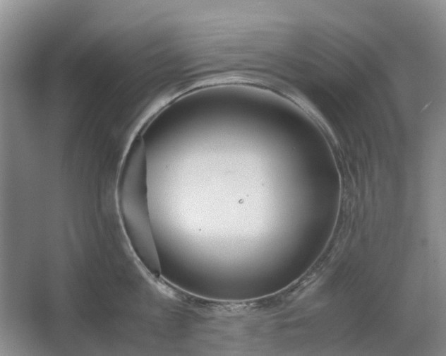 X0000062900813200601271712