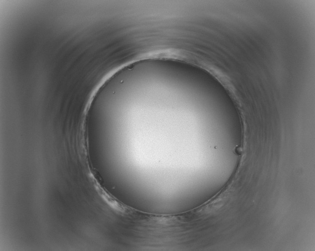 X0000062900816200601271712