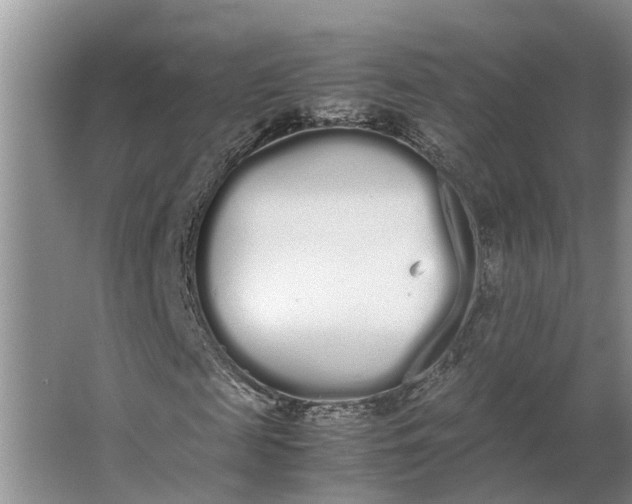 X0000062900817200601271711