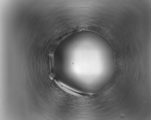 X0000062900818200601271711