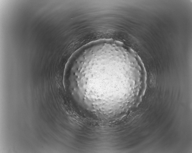 X0000062900819200601271711