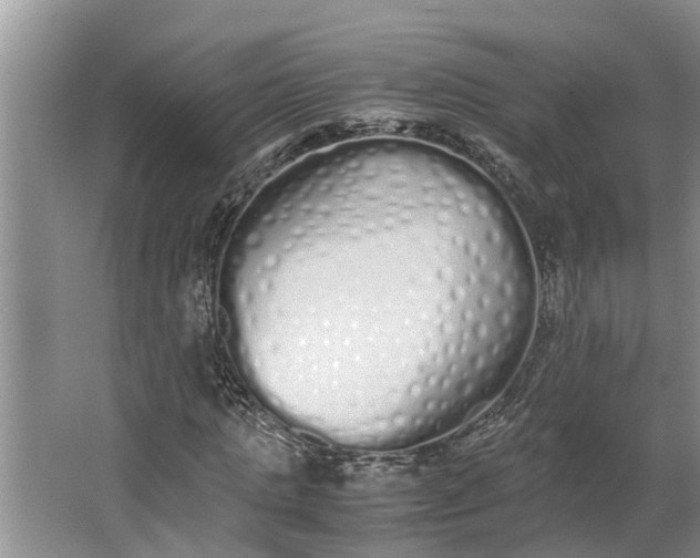 X0000062900821200601271711