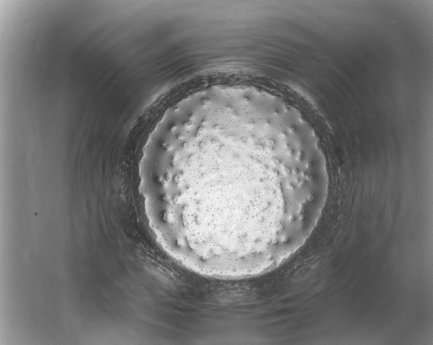 X0000062900823200601271711