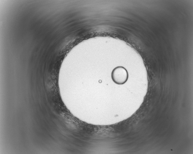 X0000062900824200601271711