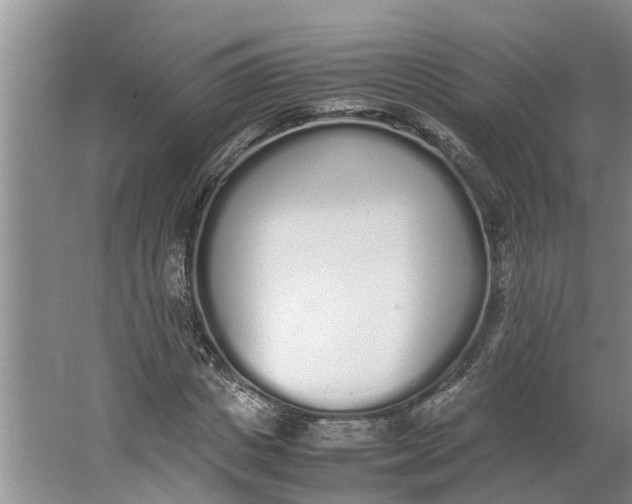 X0000062900825200601271711