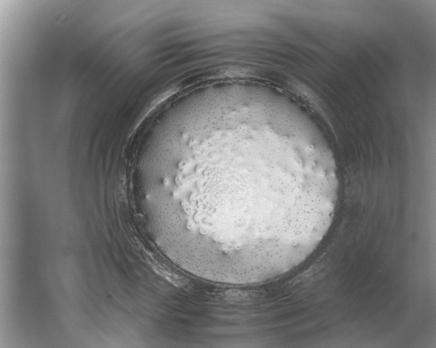 X0000062900827200601271711