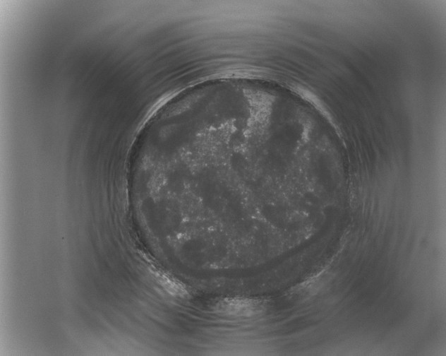 X0000062900829200601271711