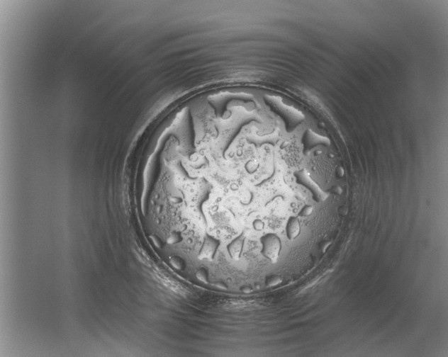 X0000062900835200601271711