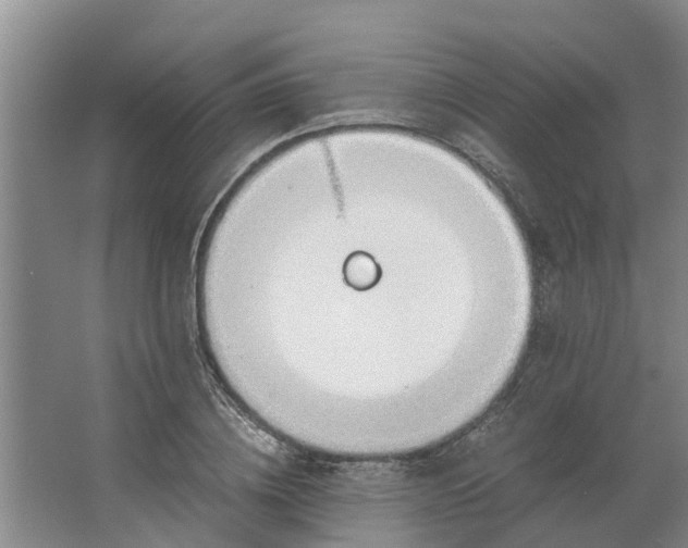 X0000062900836200601271711