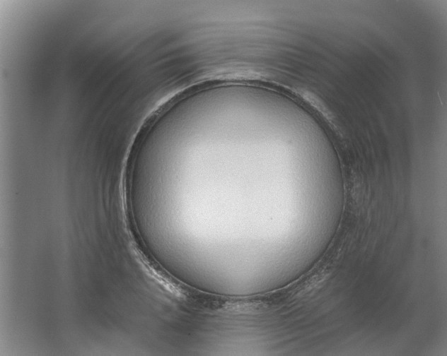 X0000062900840200601271711