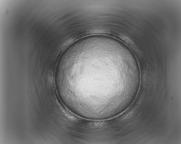 X0000062900841200601271711