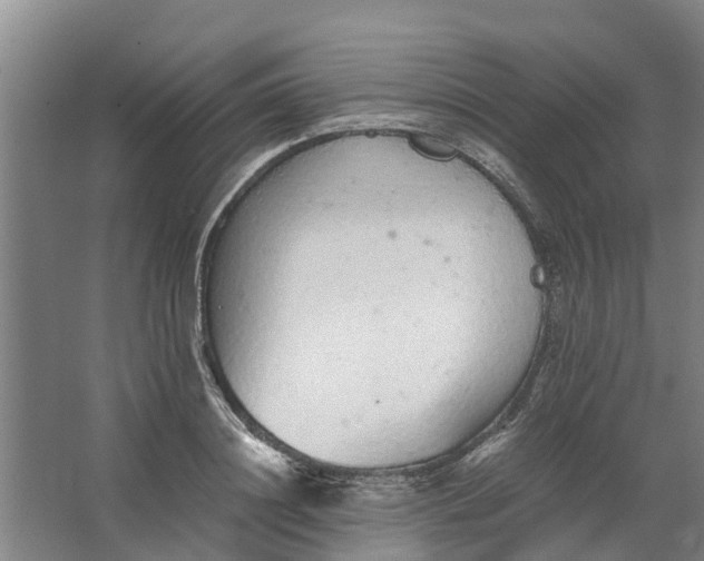 X0000062900844200601271711