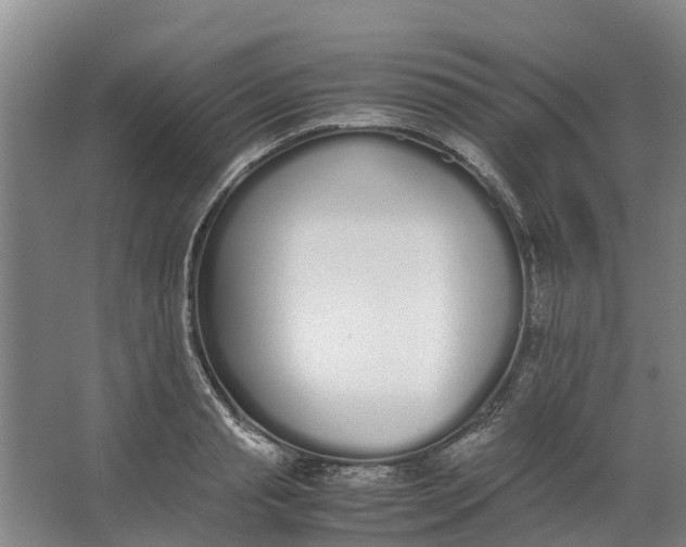 X0000062900845200601271711