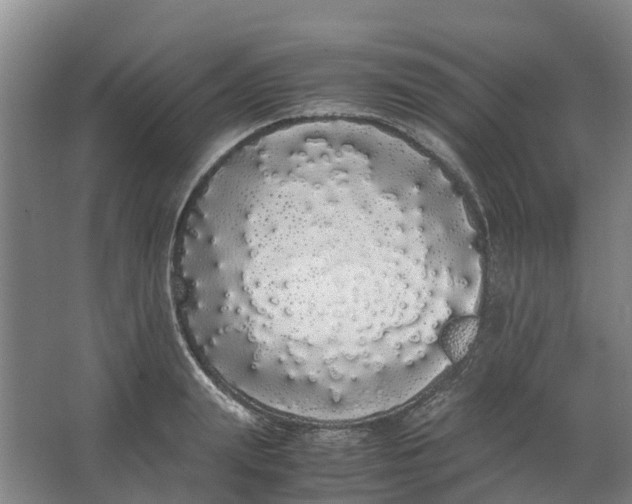 X0000062900847200601271711