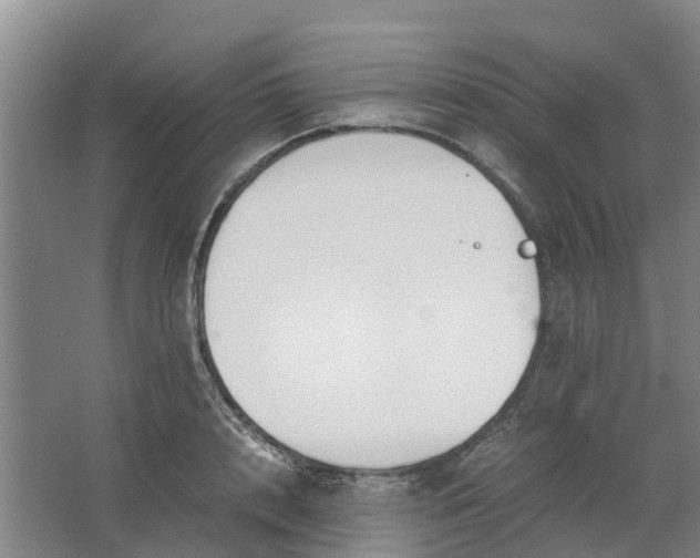 X0000062900848200601271711