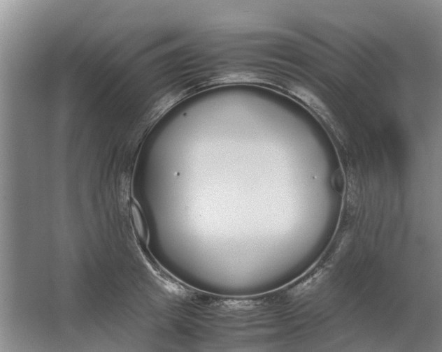 X0000062900849200601271711