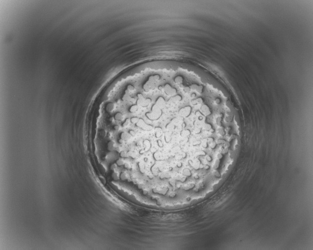 X0000062900851200601271712