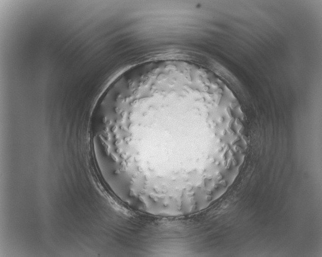 X0000062900852200601271712