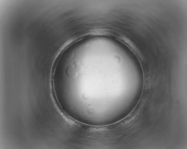 X0000062900853200601271712