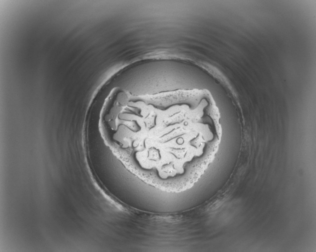 X0000062900855200601271712