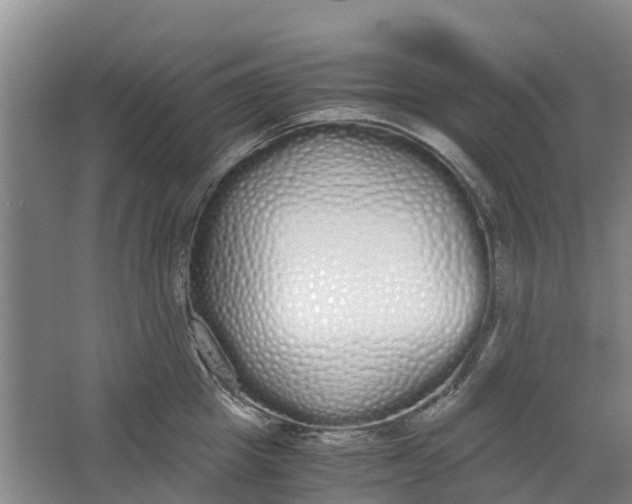 X0000062900857200601271712